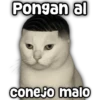 Pongan al conejo malo