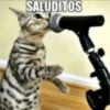 chiikawateamo 15