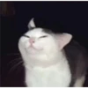 Cats [06] 19