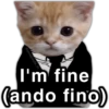 @paraguayita_01 I'm fine (ando fino)