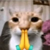 Cats [03] 20