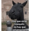 Hay que estar tranquilo no hay que volverse loco
