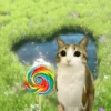 Meowl 🐱Gatos michis 🐾 21