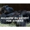 goril 18