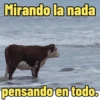 Mirando la nada pensando en todo.