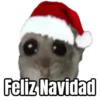 Ratita triste - Memes 🥲🤣 15