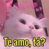 Te amo, tá?