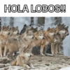 HOLA LOBOS!!