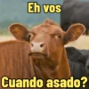 Eh vos Cuando asado?