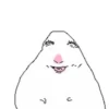 Hamster 23