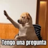 Memes pa reaccionar 🤣 11