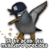 N Se te acabó tu migajero preciosa
