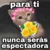 Flores amarillas🌻🍃💐 22