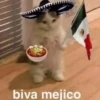 🇲🇽 Viva México 🇲🇽 11
