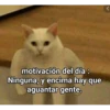Funny 22