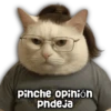 pinche opinión pndeja