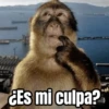 Memes pa reaccionar 🤣 12