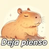 Modo Capibara  🦫(⁠´⁠(⁠ｪ⁠)⁠｀⁠） 13