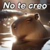 Modo Capibara  🦫(⁠´⁠(⁠ｪ⁠)⁠｀⁠） 14