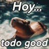 Modo Capibara  🦫(⁠´⁠(⁠ｪ⁠)⁠｀⁠） 15