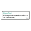 Marco Ricci Hai registrato questo audio con un cacciavite? 15:01