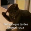 Funny 24