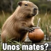 Unos mates? Met