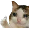 Cats [03] 25