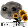 Ratita triste - Memes 🥲🤣 18