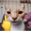 Cats [03] 26