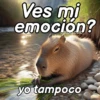 Modo Capibara  🦫(⁠´⁠(⁠ｪ⁠)⁠｀⁠） 16