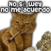 No sé wey no me acuerdo