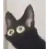 Cats [03] 27