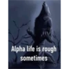 real alpha memes(phrases) 26