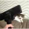 Cats [03] 28