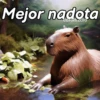 Modo Capibara  🦫(⁠´⁠(⁠ｪ⁠)⁠｀⁠） 17
