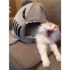 Cats [03] 29