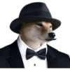 Perros xd 26