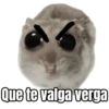 Ratita triste - Memes 🥲🤣 19