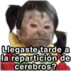 Llegaste tarde a la repartición de @paraguayita cerebros?