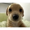 Romantic Lover 💌 29
