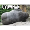 goril 29