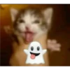 Cats [06] 30