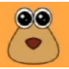 chiikawateamo 24