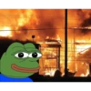 Pepe3 30
