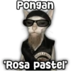 Pongan HELLS ANGELS 'Rosa pastel'