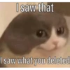 I saw that I saw what you deleted