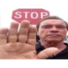 TikTok Reactions 3