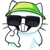 Gato de vacaciones🏖💞1🇵🇪Clásica 5