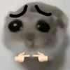 🐀 Rata Triste 🐀🐀 Meme 🐀 5